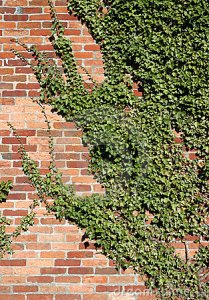 ??????????????????????????????????????